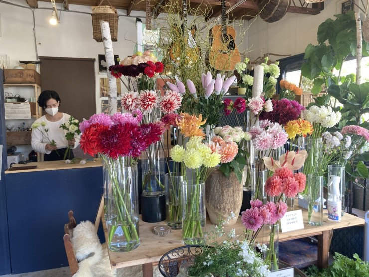 鎌倉 ショップレポ 鎌倉 七里ヶ浜の花屋 Anima アニマ 植物は人を豊かにする こだわりの産地で 光と風を浴びて育った 花 という生き物を贈る 湘南人