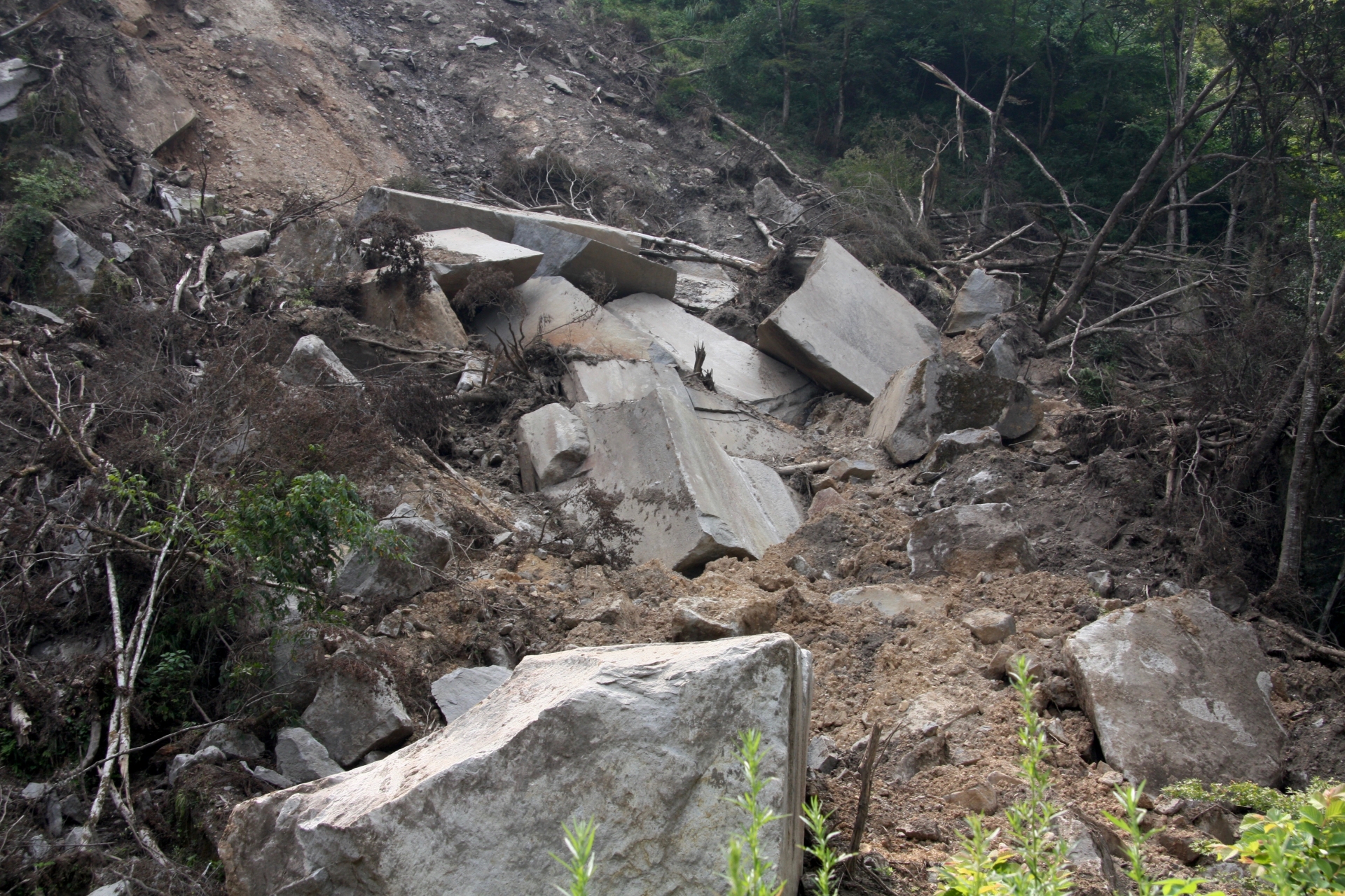zushi-city-launch-detect-sign-of-landslide