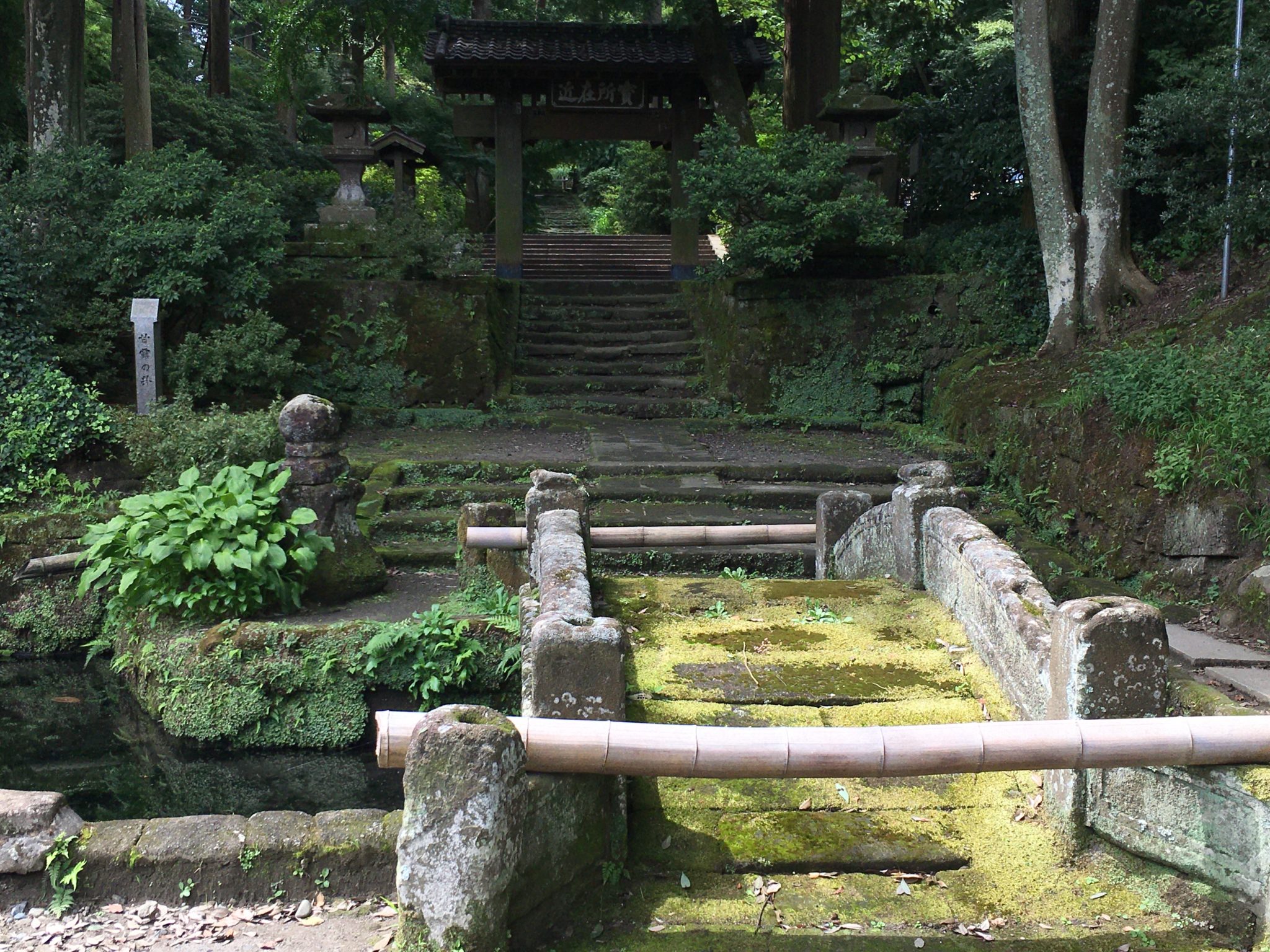 【中古】中世鎌倉五山の建築 鎌倉市／84 鎌倉五山