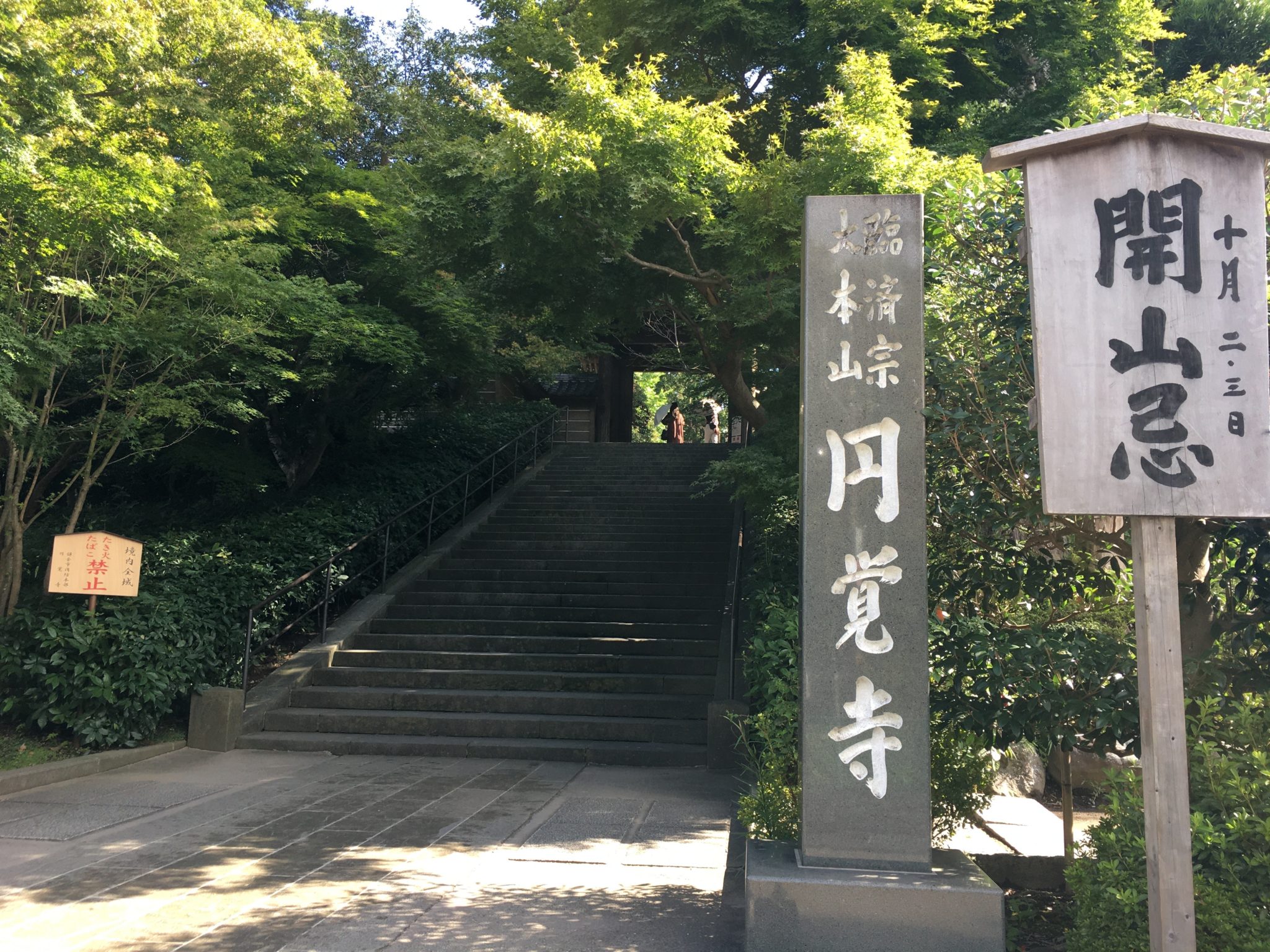 2026年最新】はじめての鎌倉五山ガイド｜地元ライターが由緒正しい