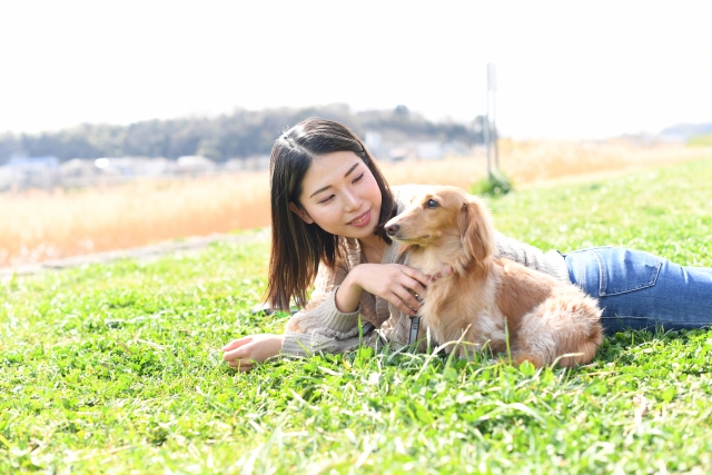 辻堂海浜公園 わんこと一緒にウォーキング