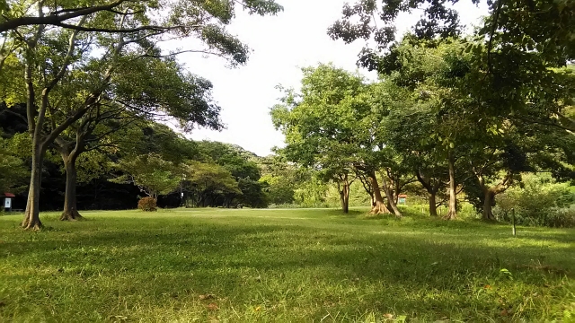 逗子市 池子の森自然公園