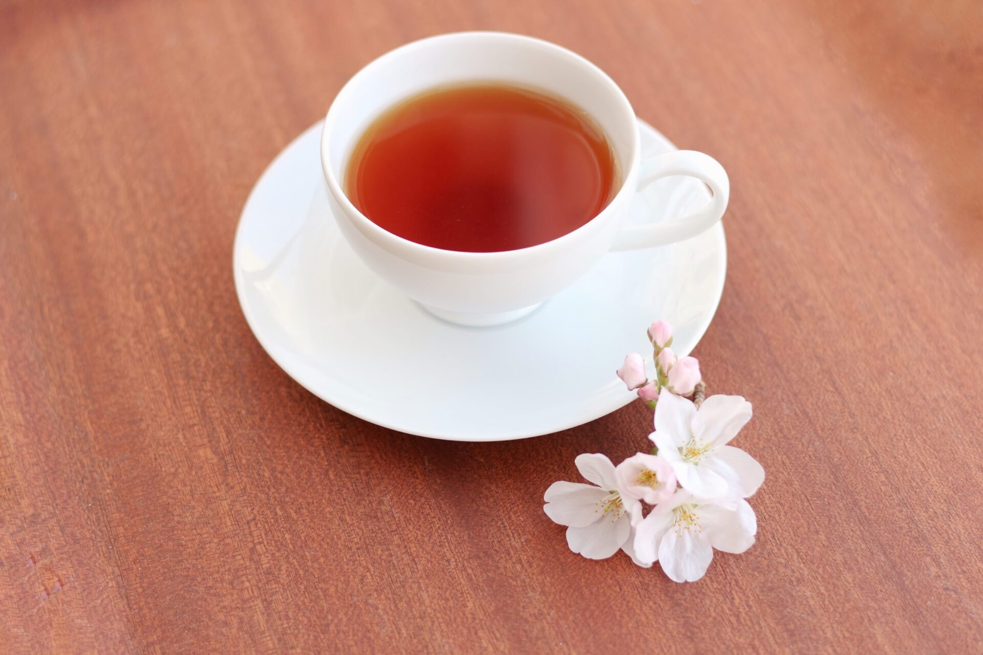 DRESSY ROOM＆Tea_sakura-fair