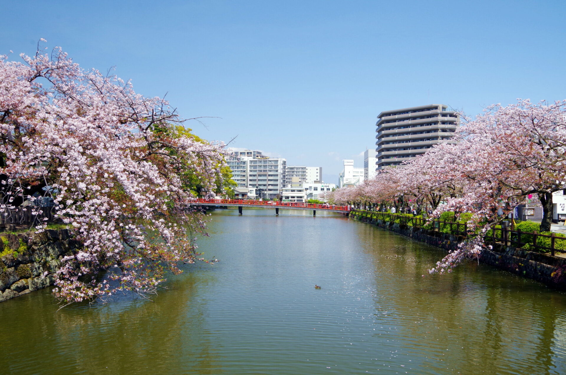 小田原市移住セミナー