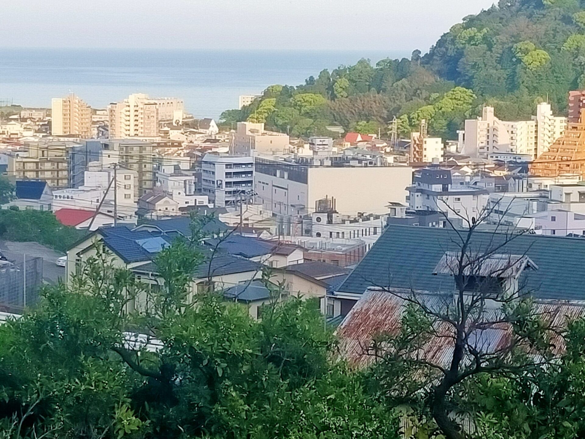 湯河原温泉Nights