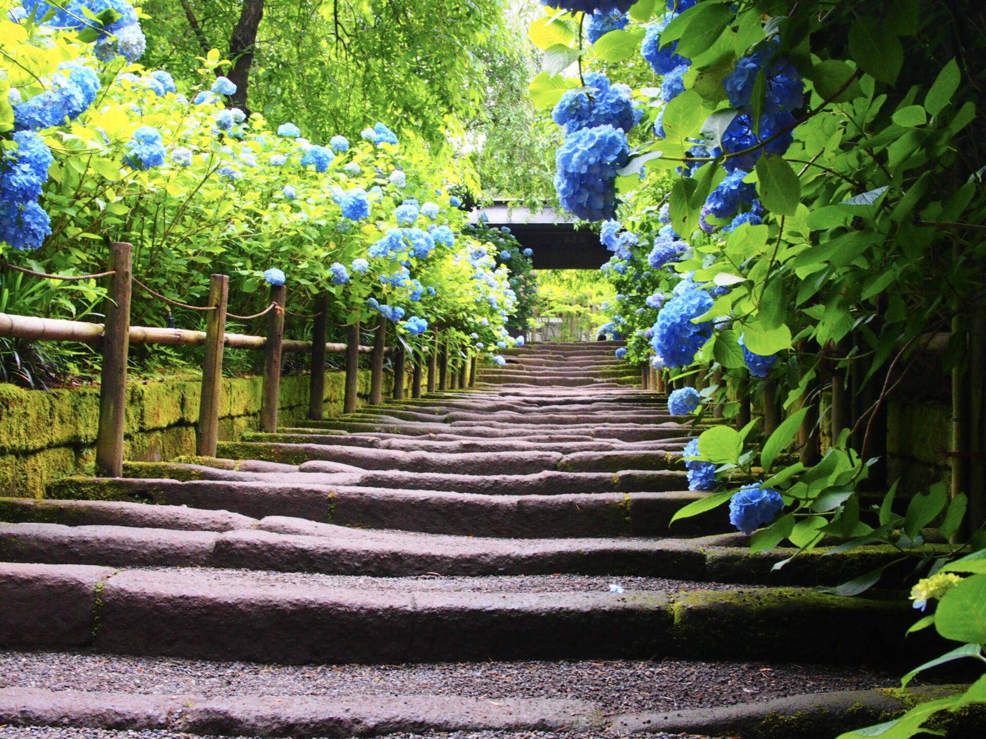 鎌倉市鏑木清方記念美術館