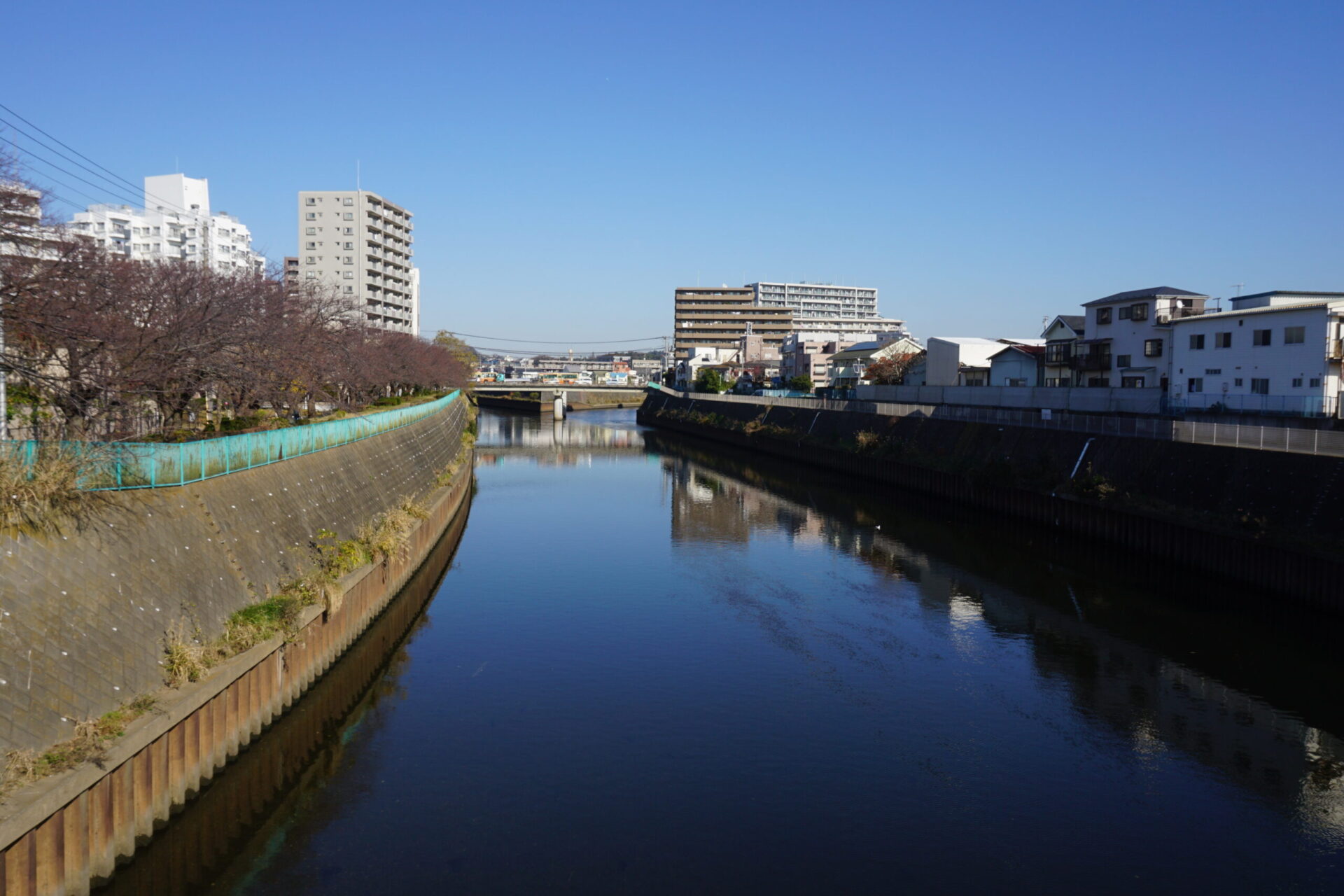 藤沢市インターンシップ制度