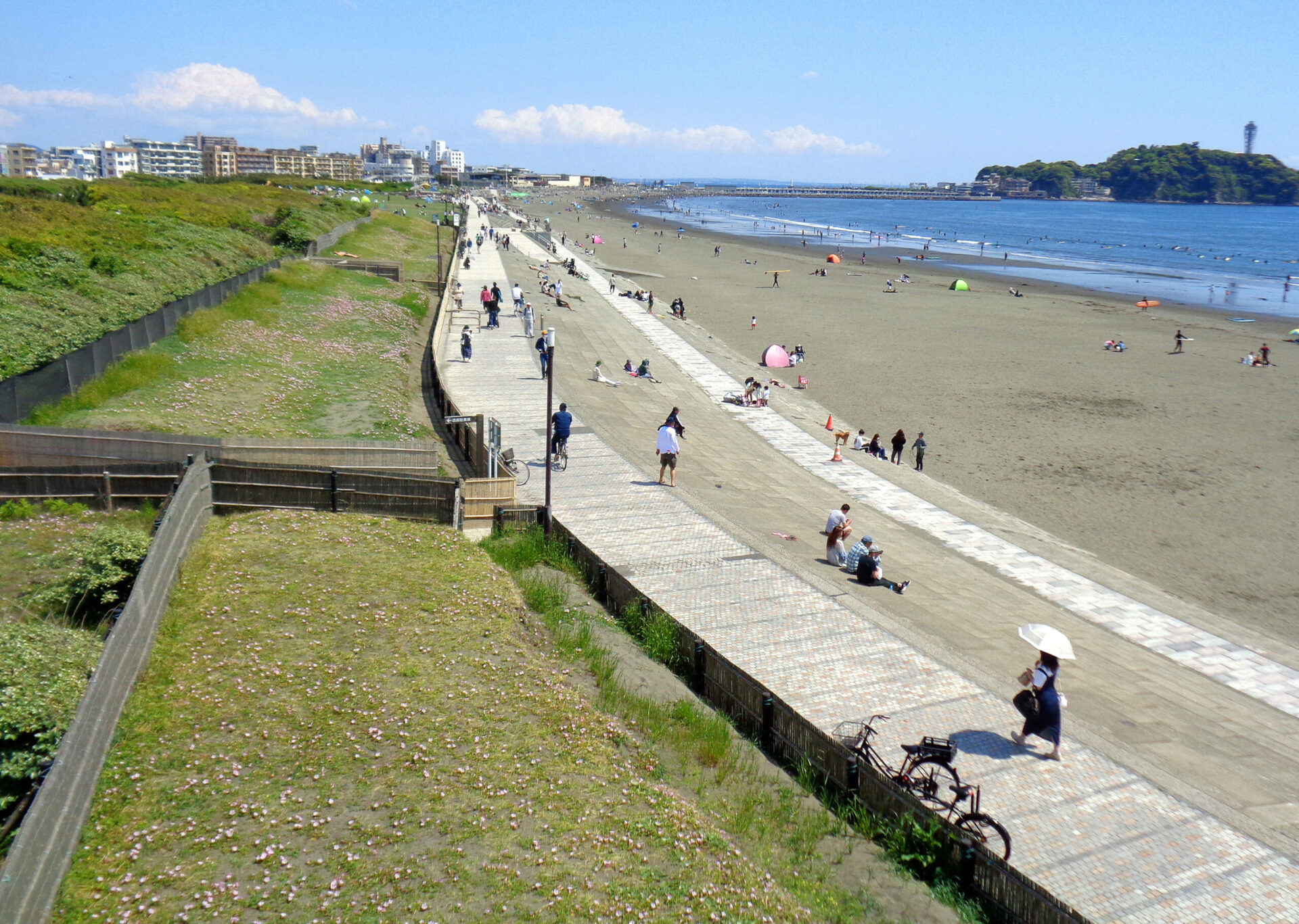 湘南海岸公園7月予定