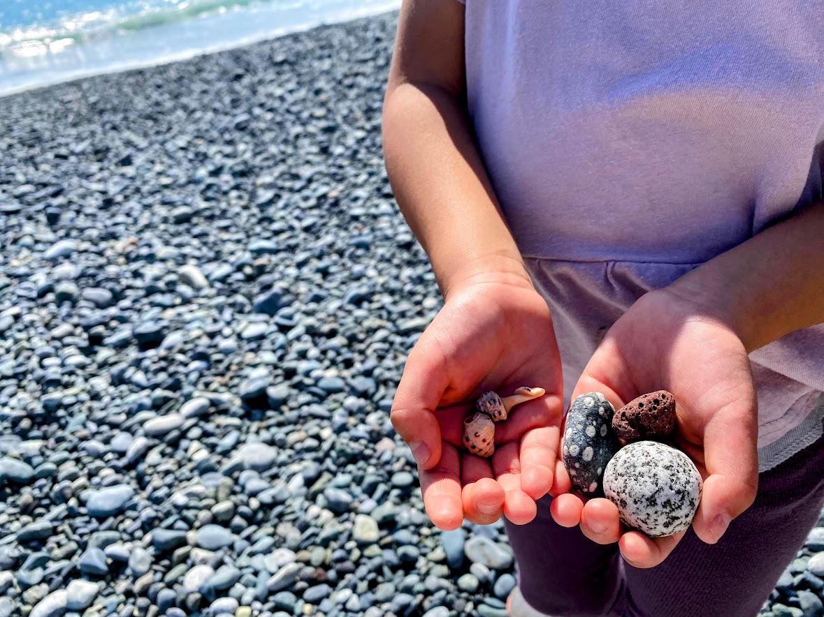 御幸の浜で拾った小石や貝殻