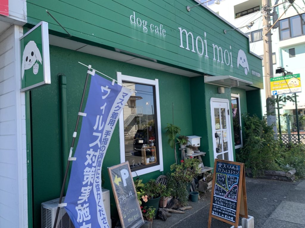 小田原 グルメレポ】dog cafe moimoi – 愛犬と店内で食事が