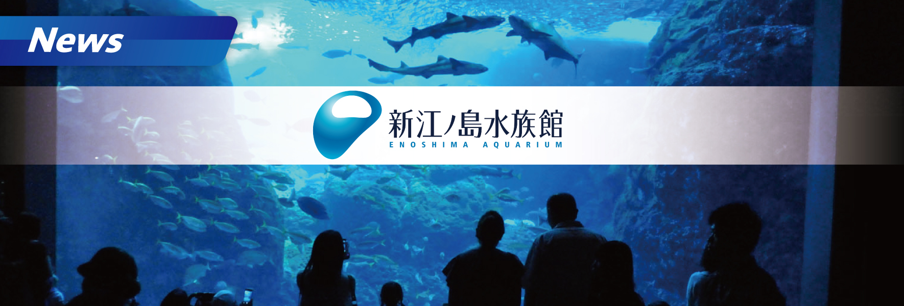 【藤沢市】新江ノ島水族館 20周年特別展 4月16日（火）～ 7月7日（日）