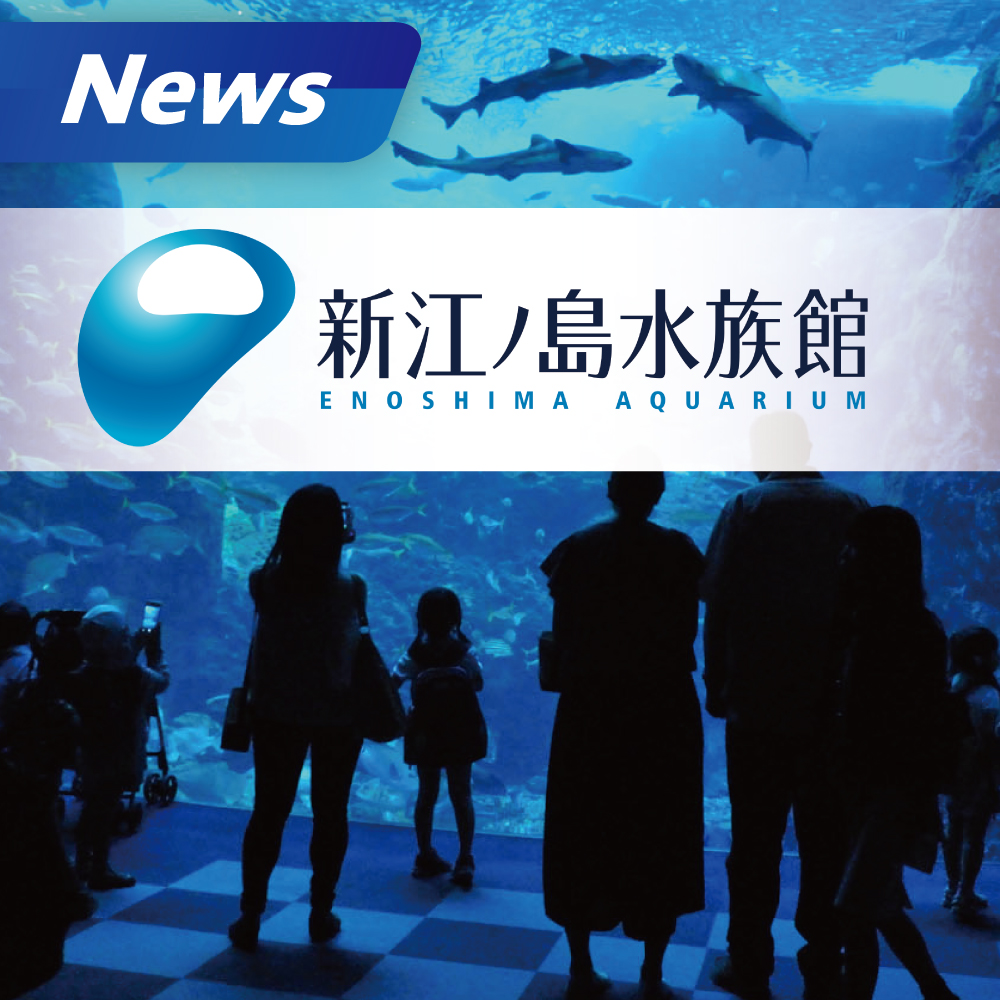 【藤沢市】新江ノ島水族館 20周年特別展 4月16日（火）～ 7月7日（日）