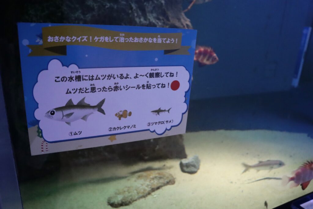 藤沢 イベントレポ】ニチバン×新江ノ島水族館 親子で学ぼう！おさかな