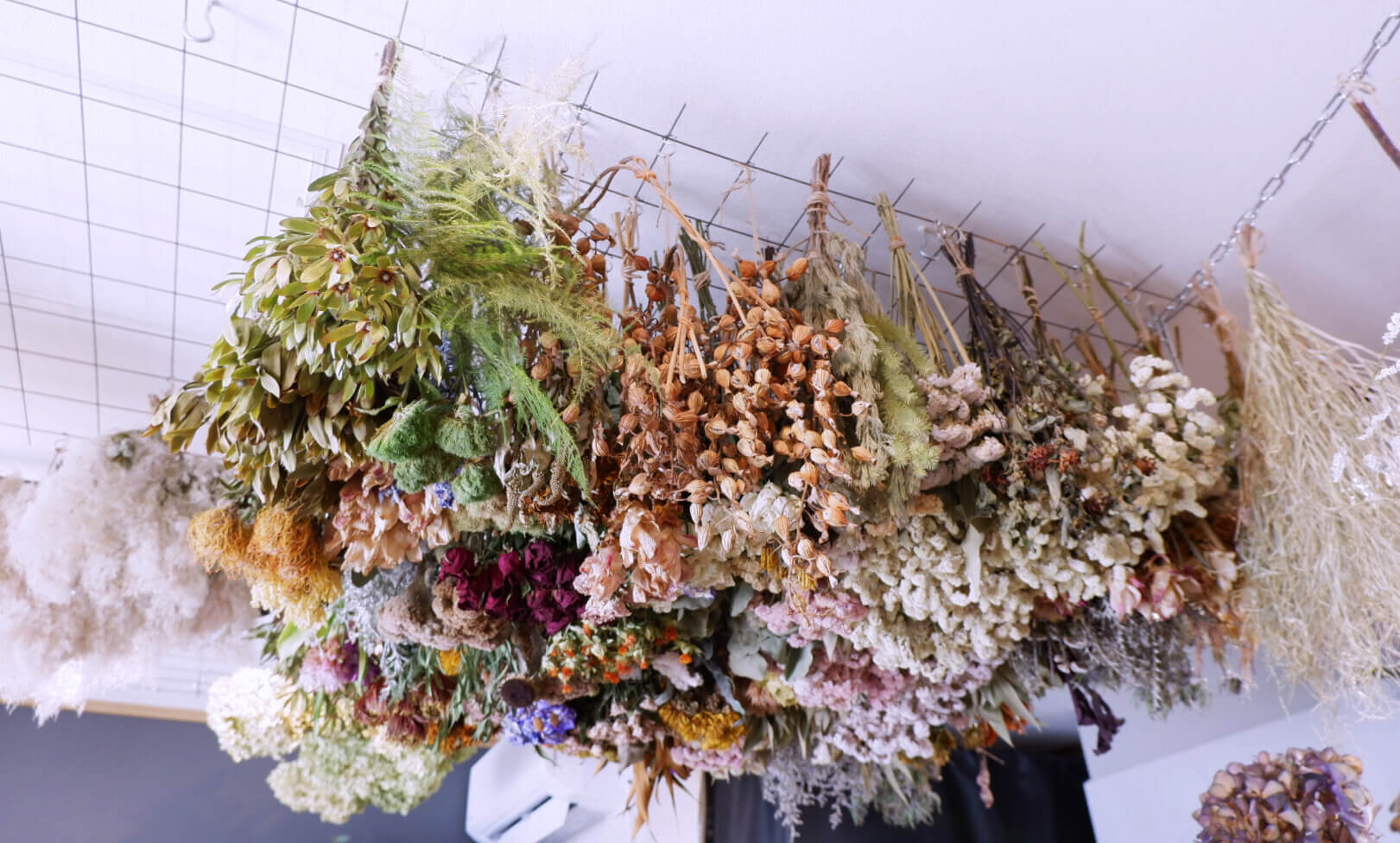 2025年最新】湘南で買えるお正月の花特集｜松・千両・葉牡丹・南天が