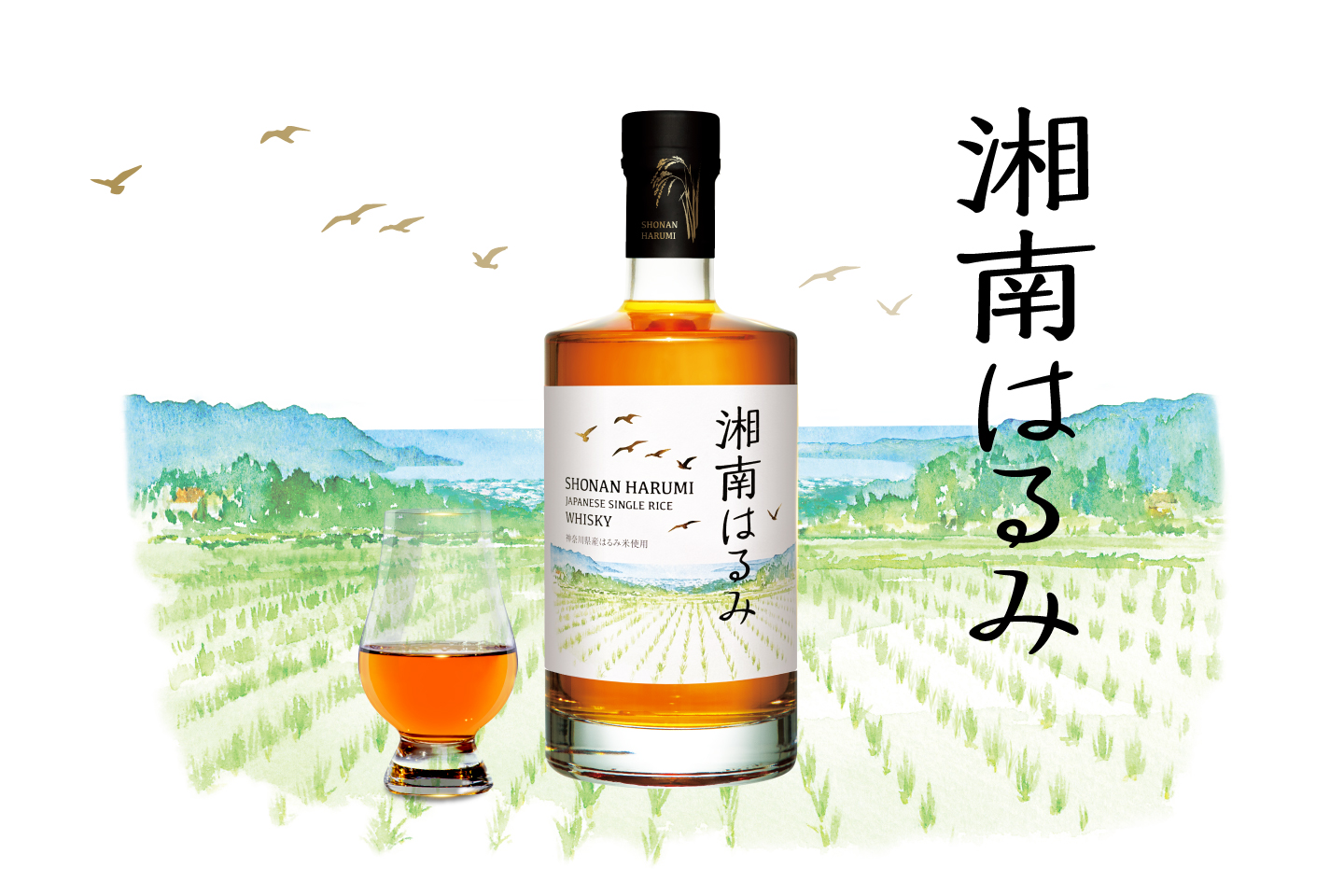 平塚市】平塚産”湘南はるみ”使用！「ジャパニーズシングルライス
